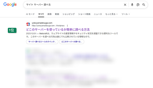 検索順位の実績3