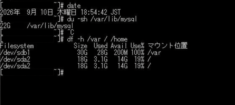VPSのディスク容量が100％に達していることを確認した実際の作業画面（接続情報は加工済み）