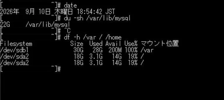 VPSのディスク容量が100%に達していることを確認した実際の作業画面(接続情報は加工済み)